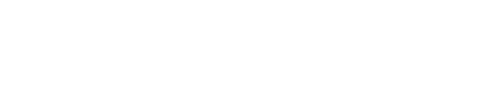 ZYLO AI